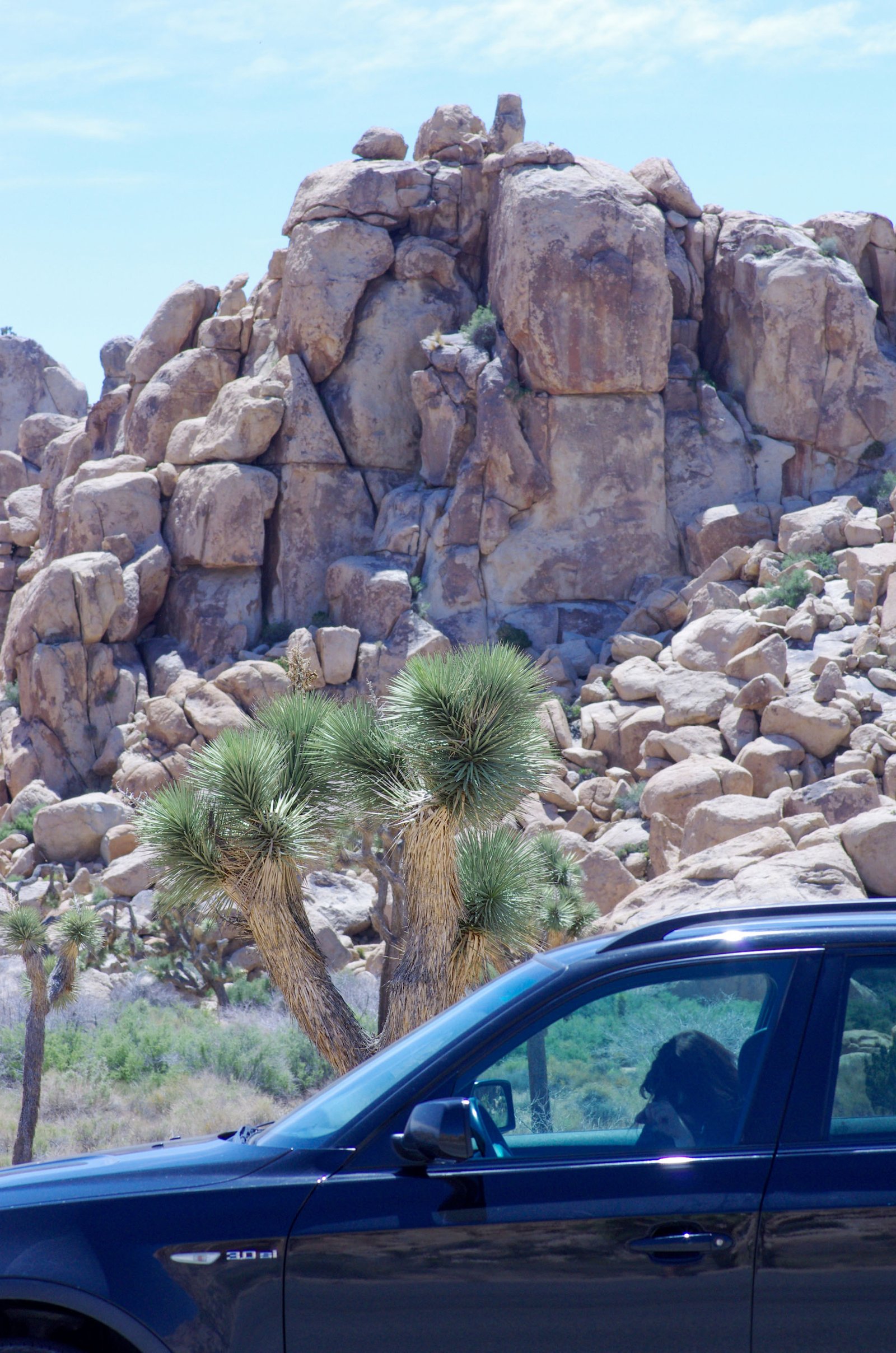 Joshua Tree 19